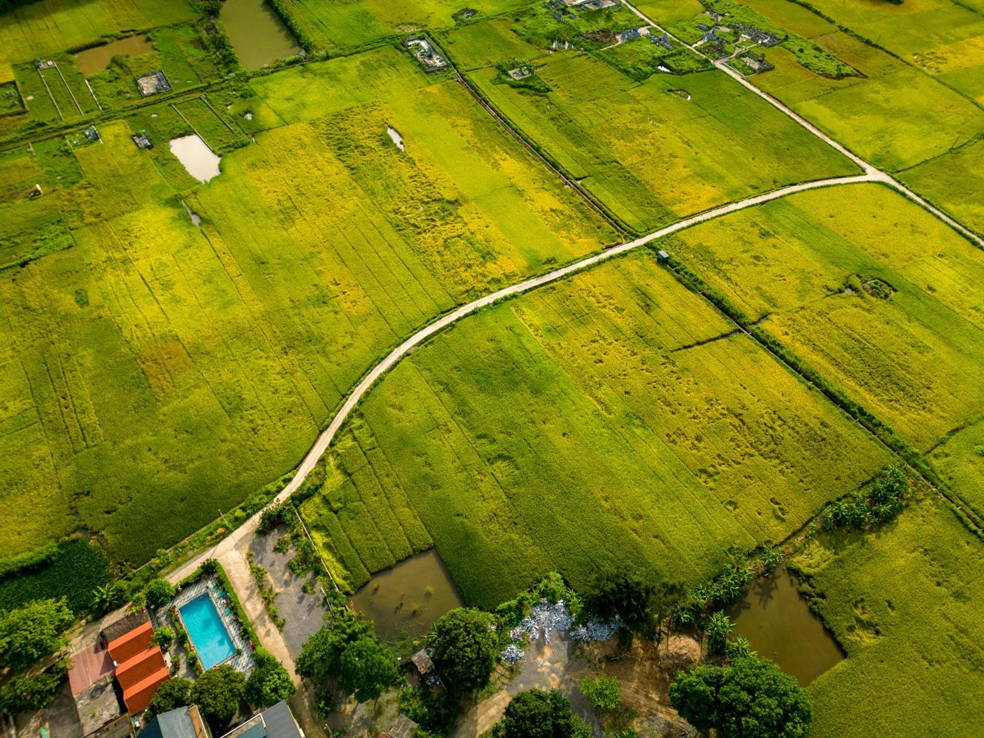 Tam Coc Minh Hung Homestay Ninh Binh Exterior photo